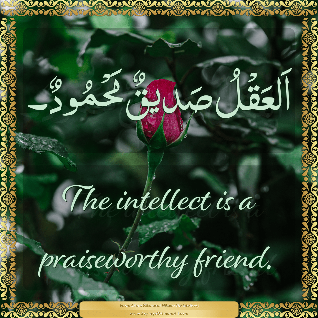 The intellect is a praiseworthy friend.